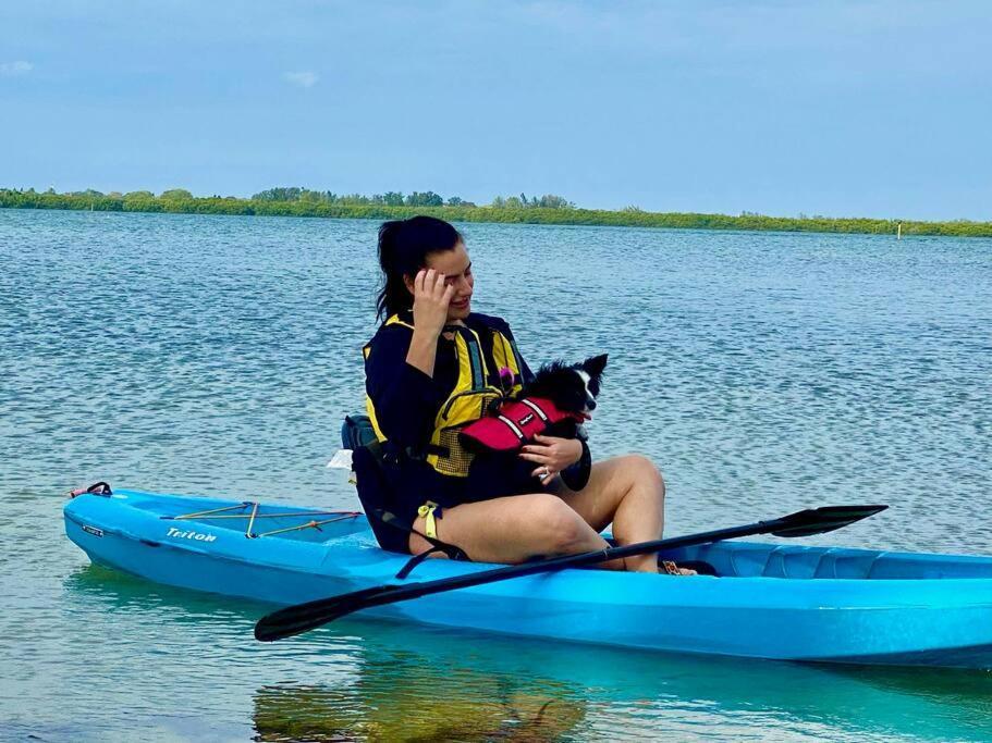בריידנטון New Dog Paradise - Near The Beach Img & Downtown מראה חיצוני תמונה