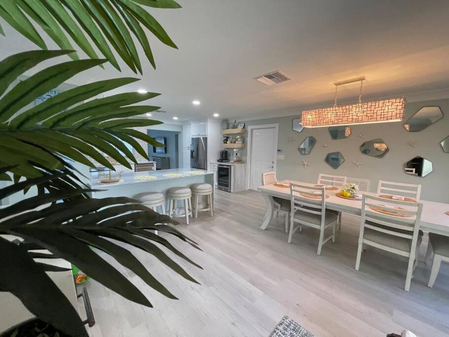 בריידנטון New Dog Paradise - Near The Beach Img & Downtown מראה חיצוני תמונה